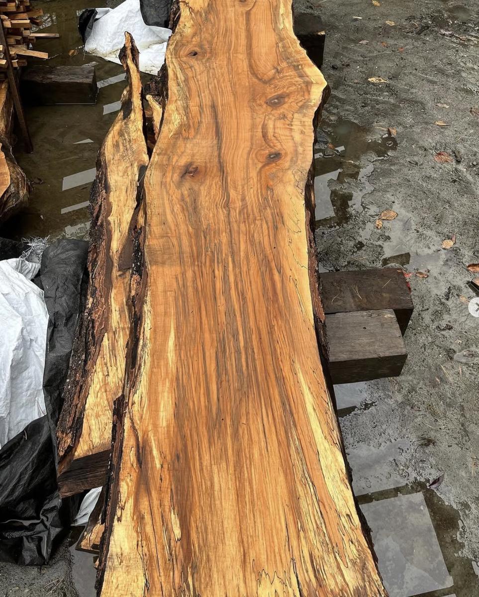 Long spalted slab with natural edges